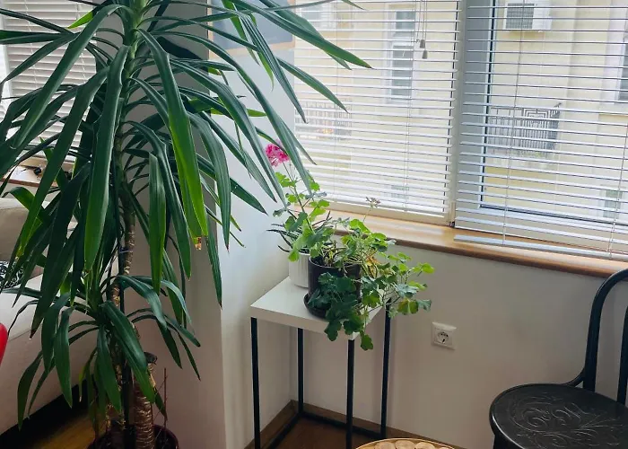 Large 2-bedroom Centre Art Apartment *