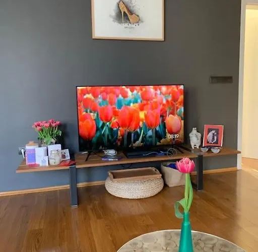 Large 2-bedroom Centre Art Sofia